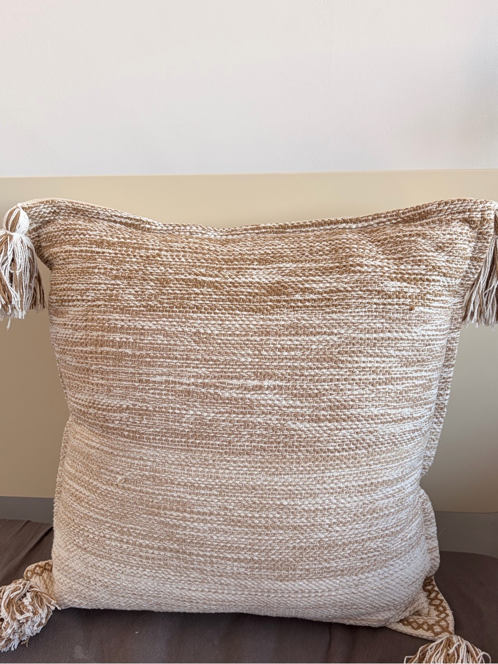 Target Home Accents Beige and Cream Tassel Throw Pillow